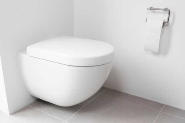 vvs skive - badeværelse toilet væghængt montering